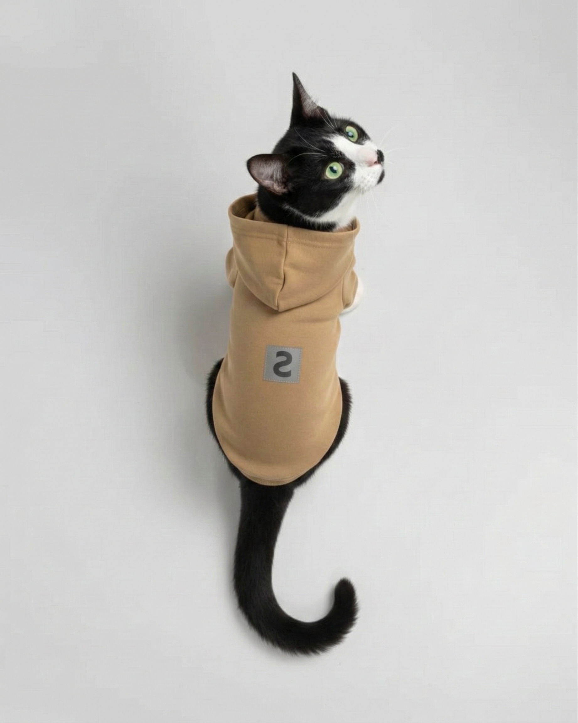 LOGO PET HOODIE