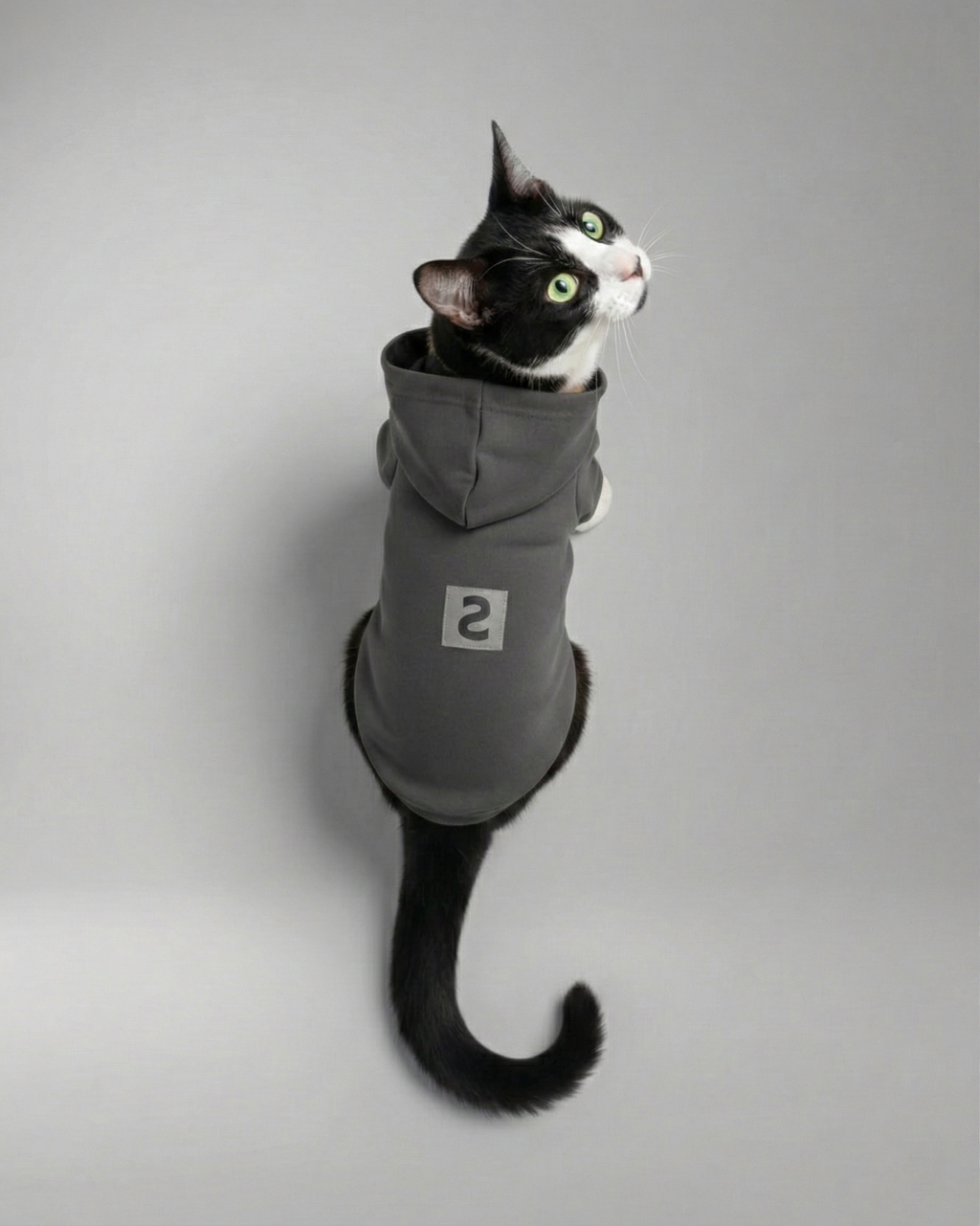 LOGO PET HOODIE