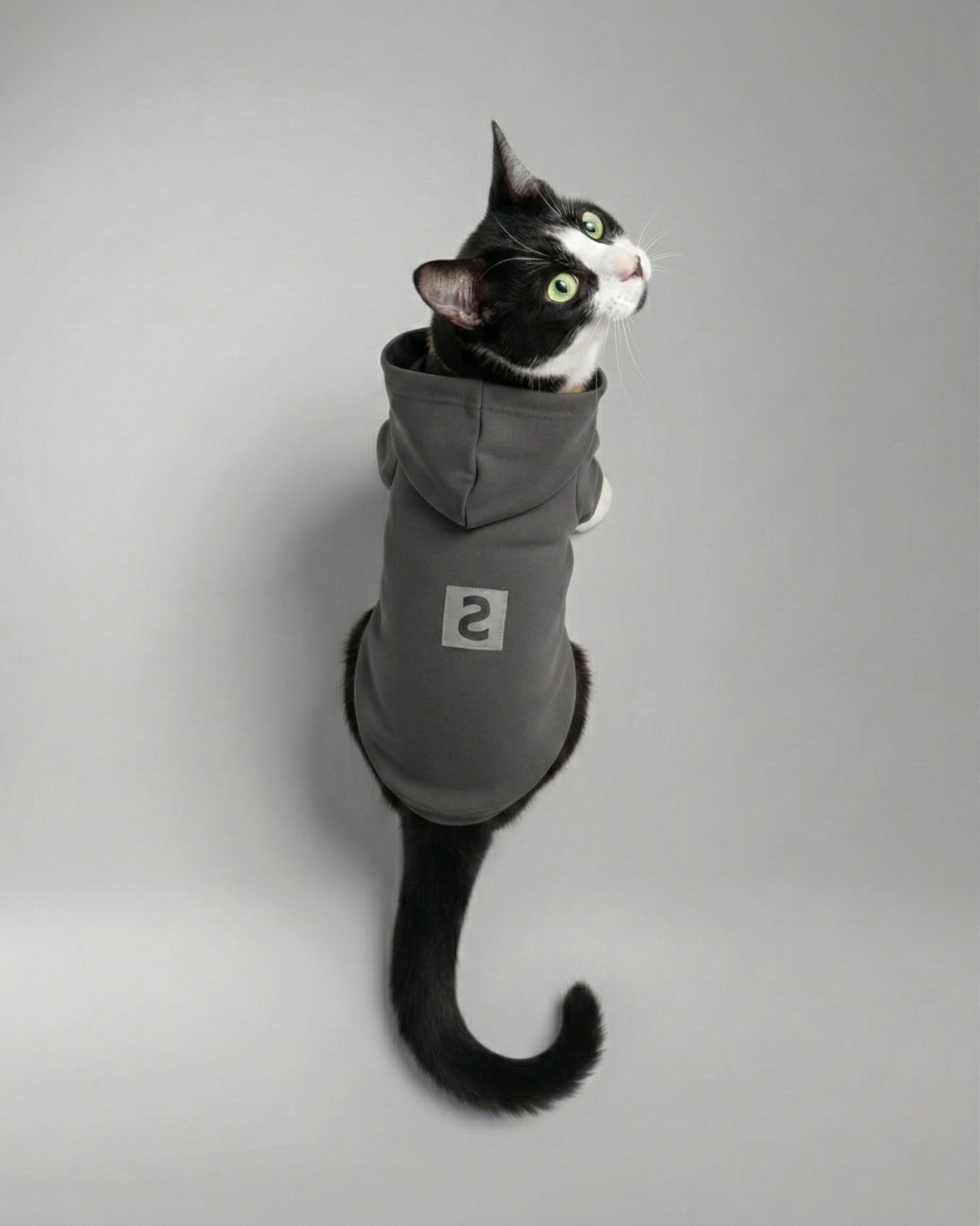 LOGO PET HOODIE