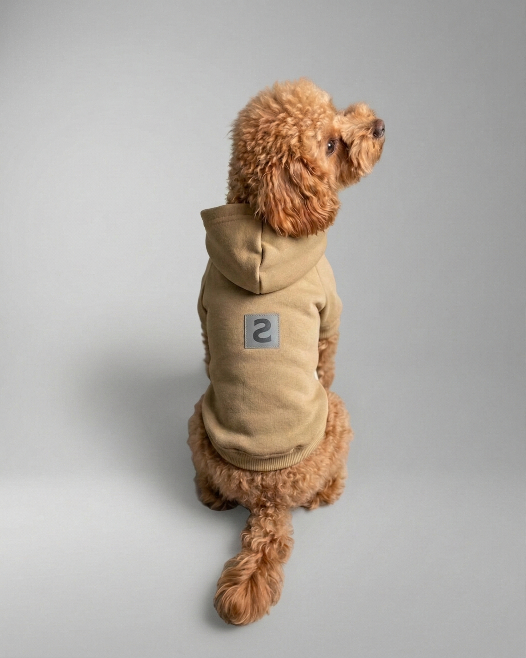 LOGO PET HOODIE