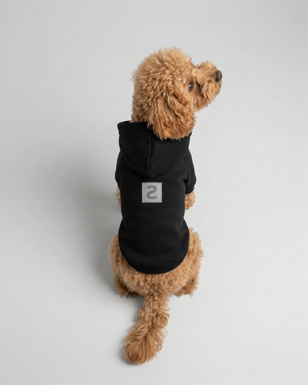 LOGO PET HOODIE