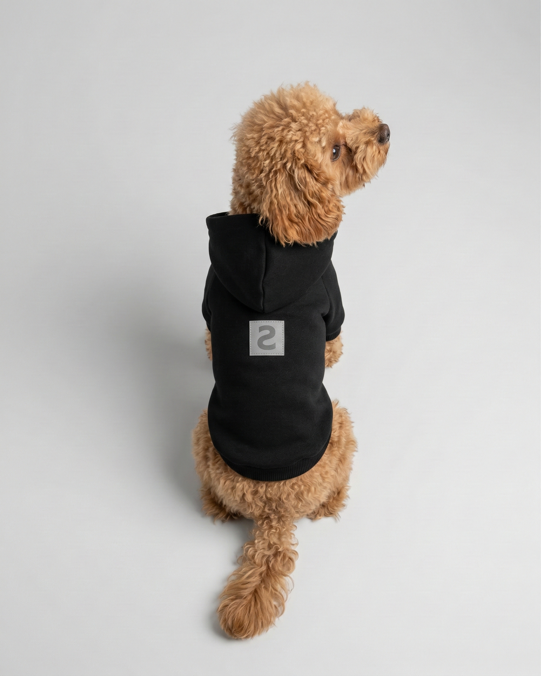 LOGO PET HOODIE
